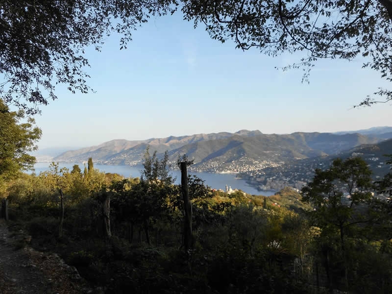 Attivazione WxM del monte di Portofino