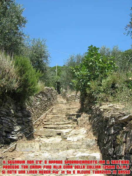 Liguria terra di sentieri