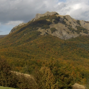 Tomarlo