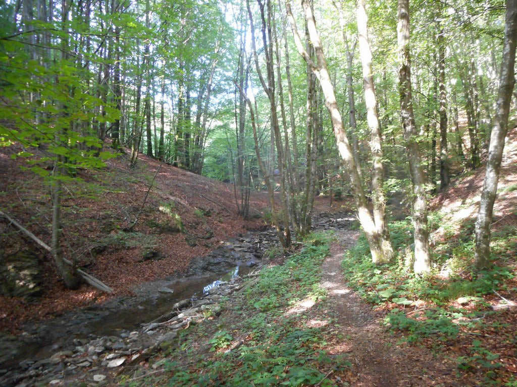 Monte Caucaso all'avventura - IZ1OQU 26-07-2015